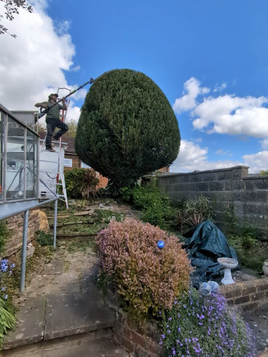 @Gary Hall Garden Services