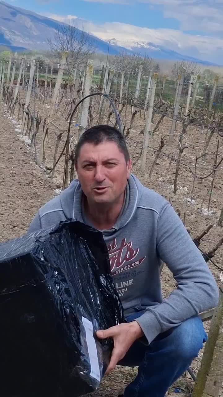 @Минчо Танков