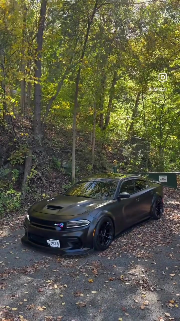 @D4RK.BEE🐝