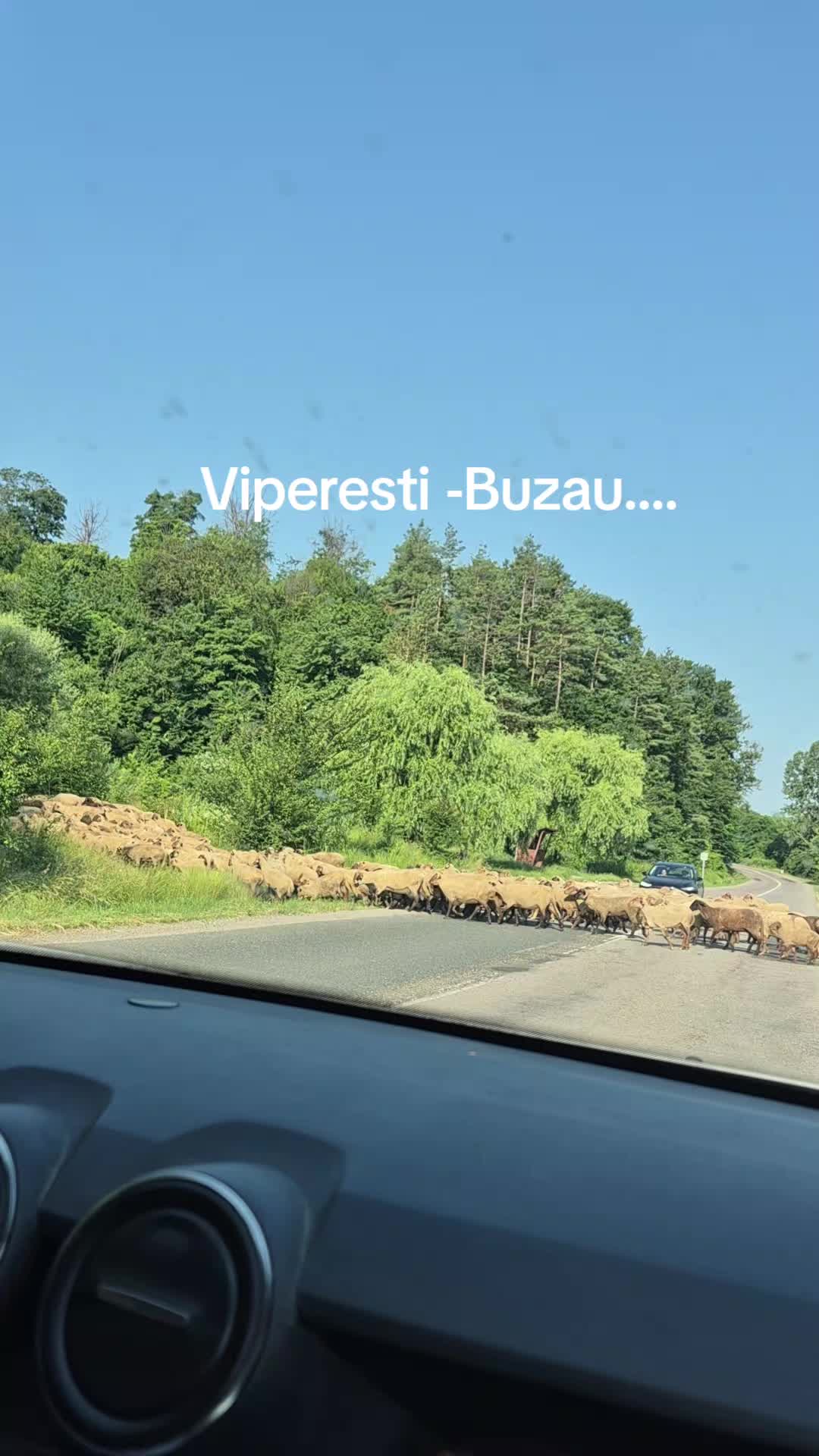 @Mioara