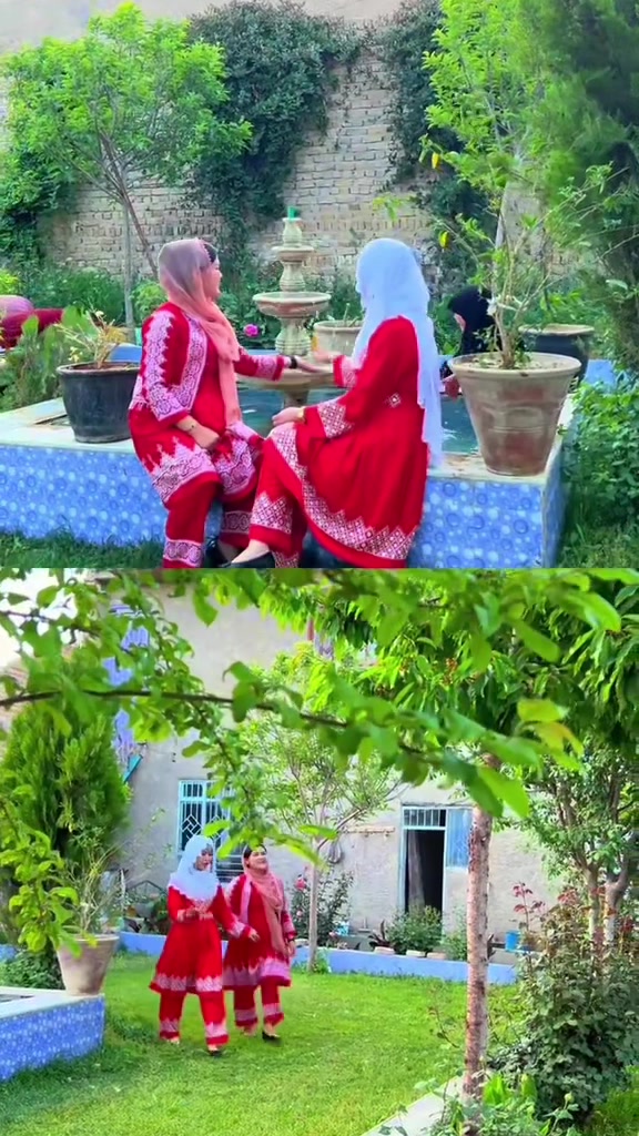 @Gull rayhan 🕊️