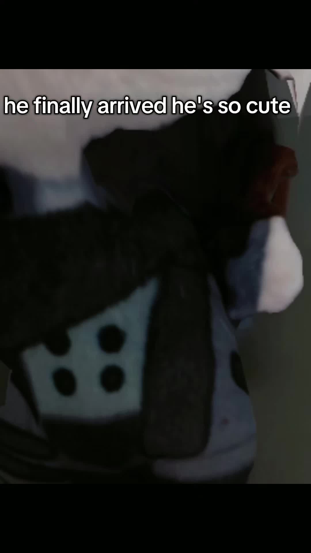 @𝓣𝓱𝓮𝓪 (Welt Yang's wife)