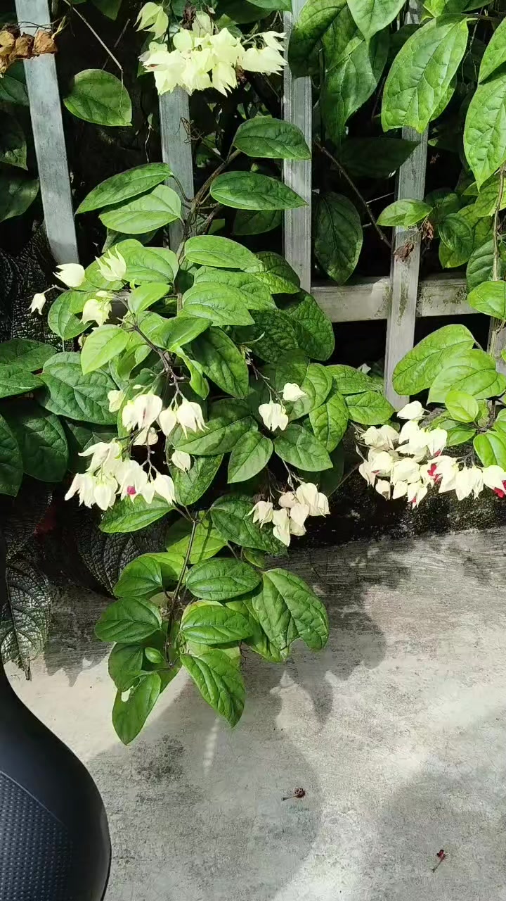 @Nguyễn Thiện Nh&acirc;n