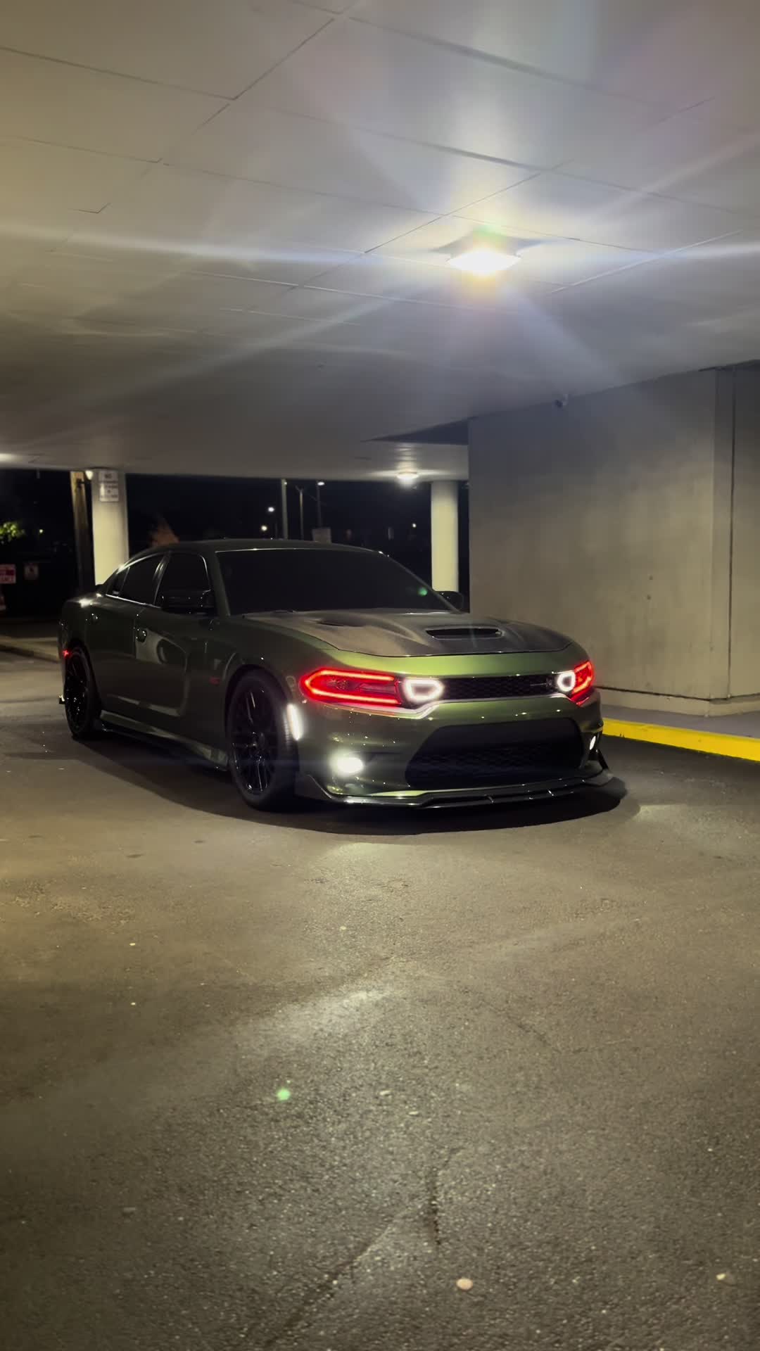 @toxicscatty