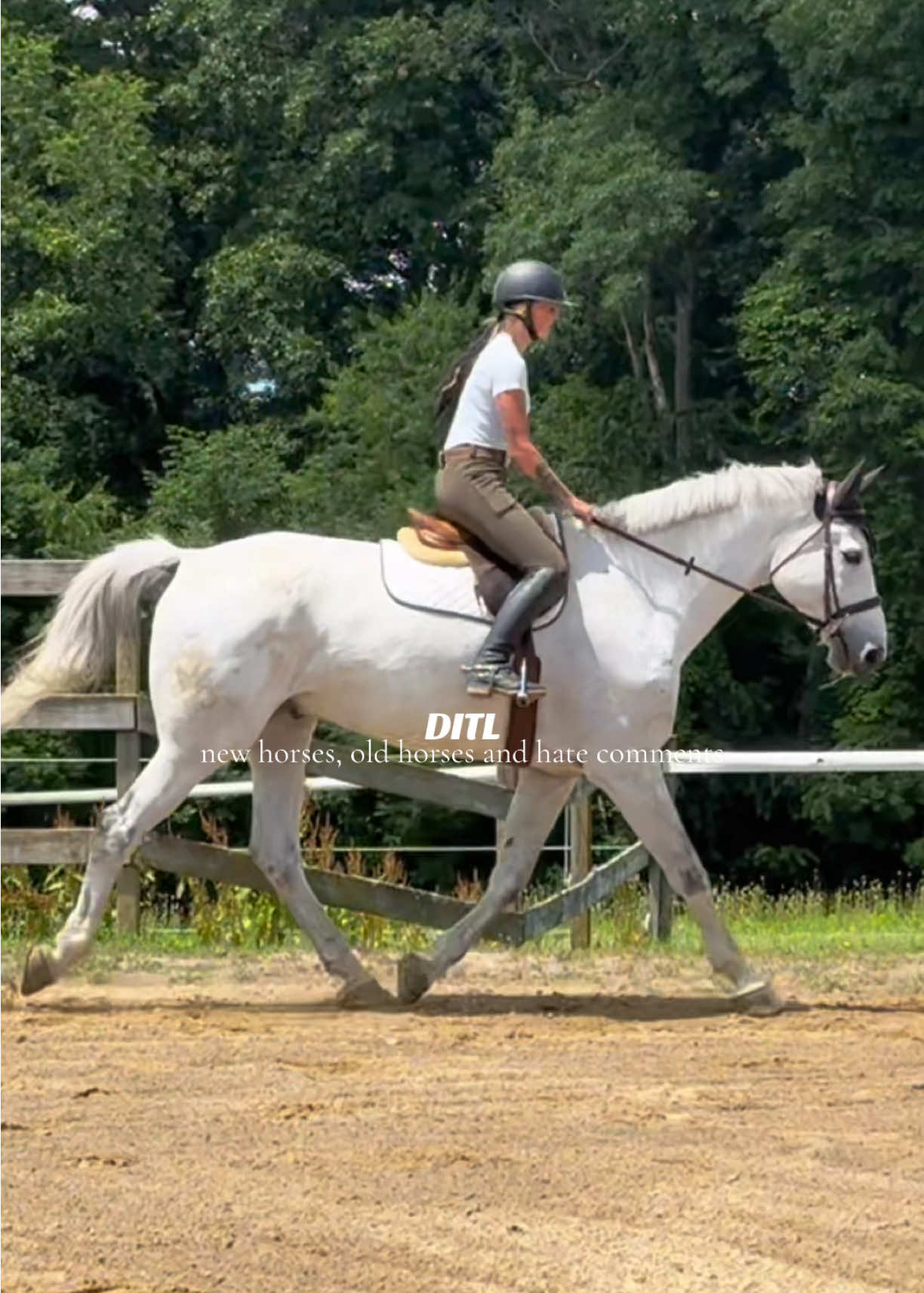@Lunar Hill Equestrian