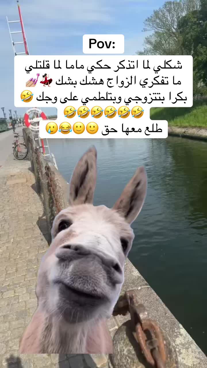 @🦋🇱🇴🇺🇱🇴🇺🦋