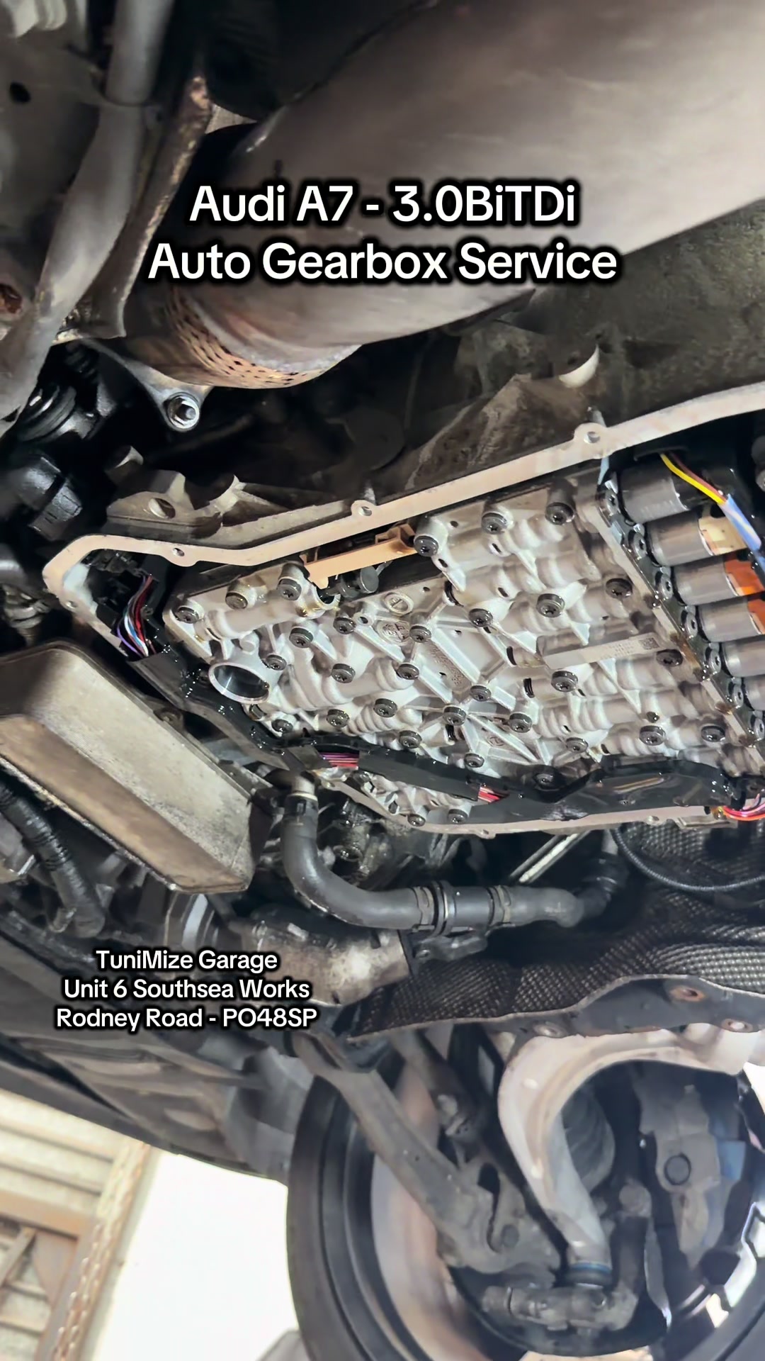@TuniMize Automotive