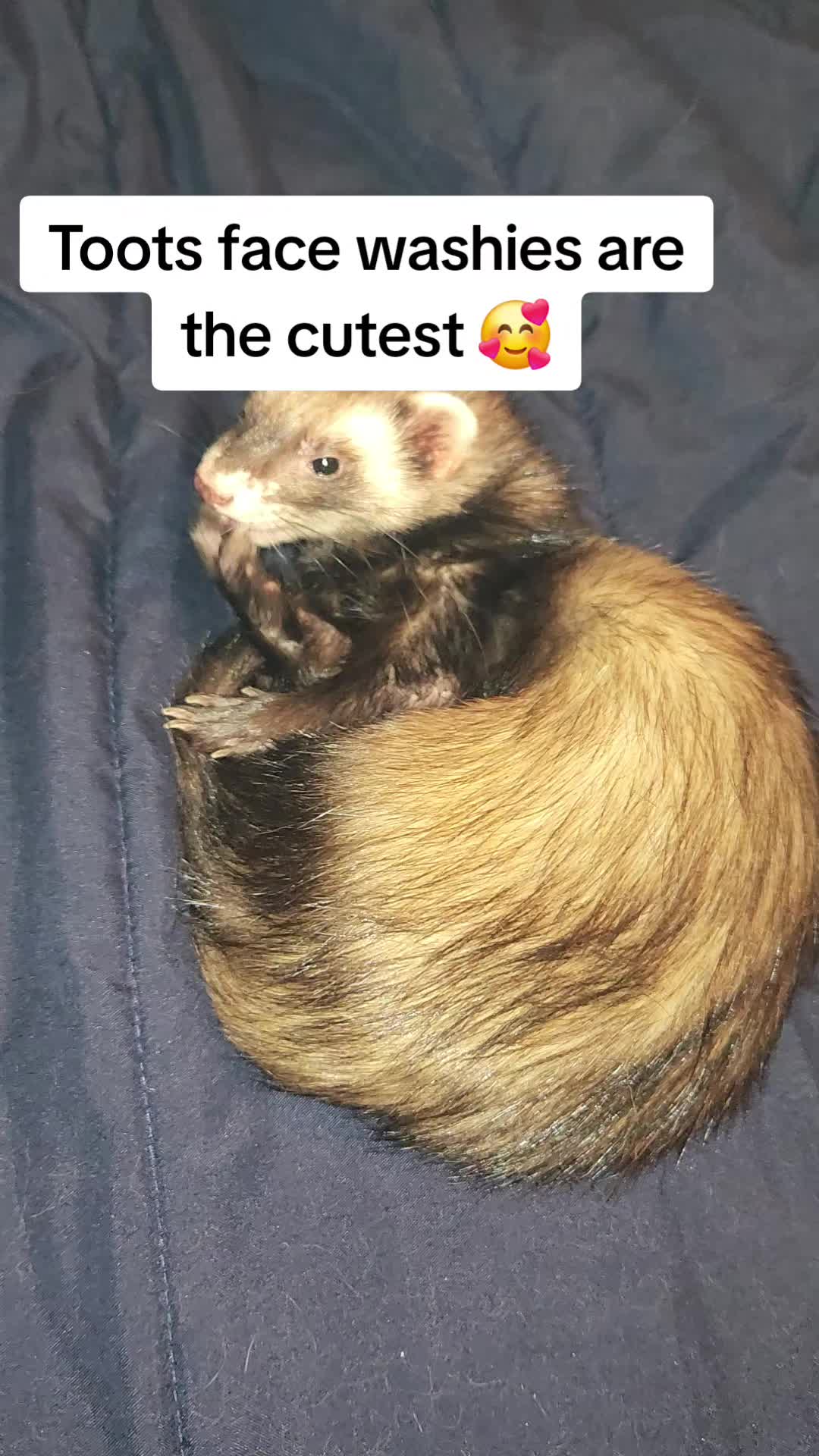 @Mercedese