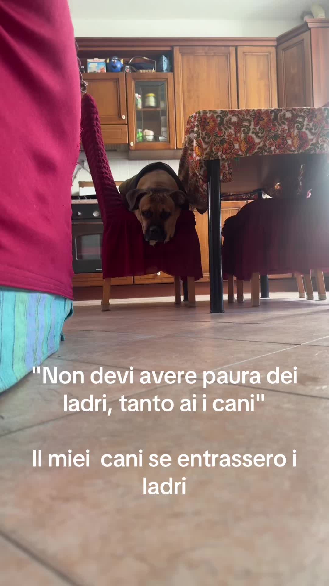 @Giadydl