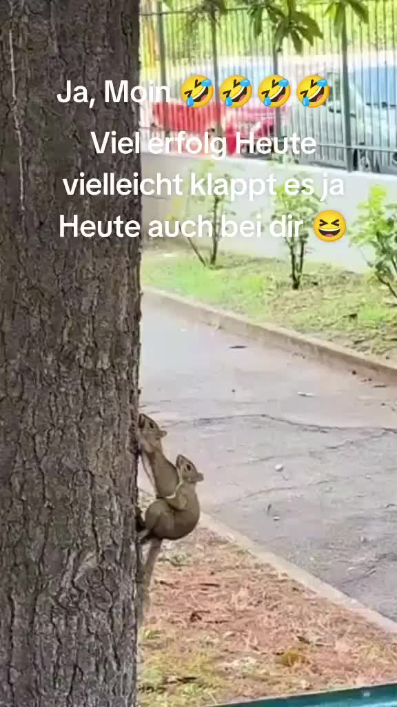 @FotzDeluxe
