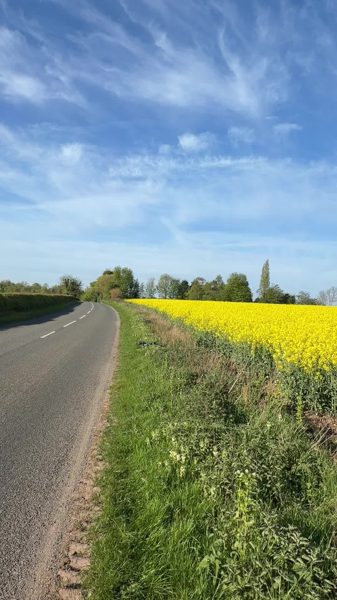 @Nomi Punjabi