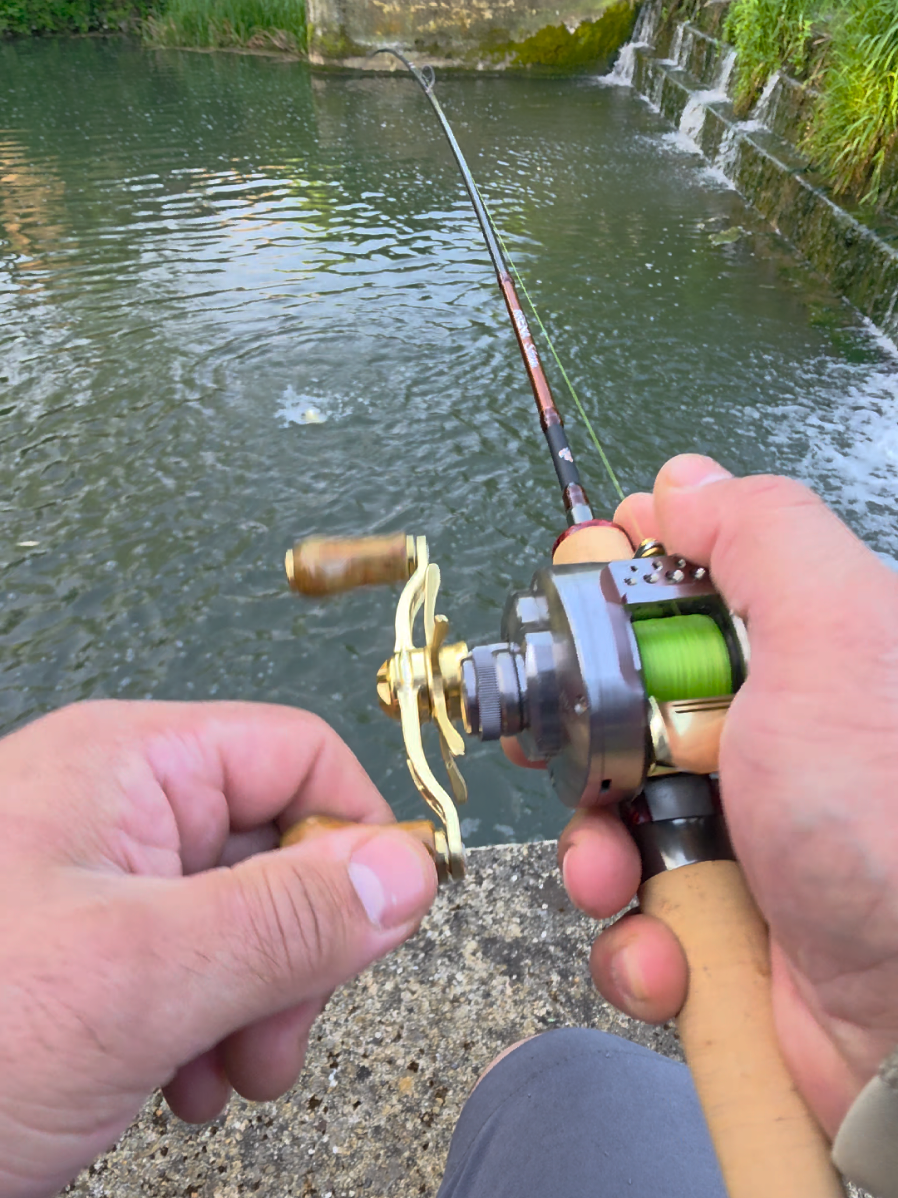@BF Angler