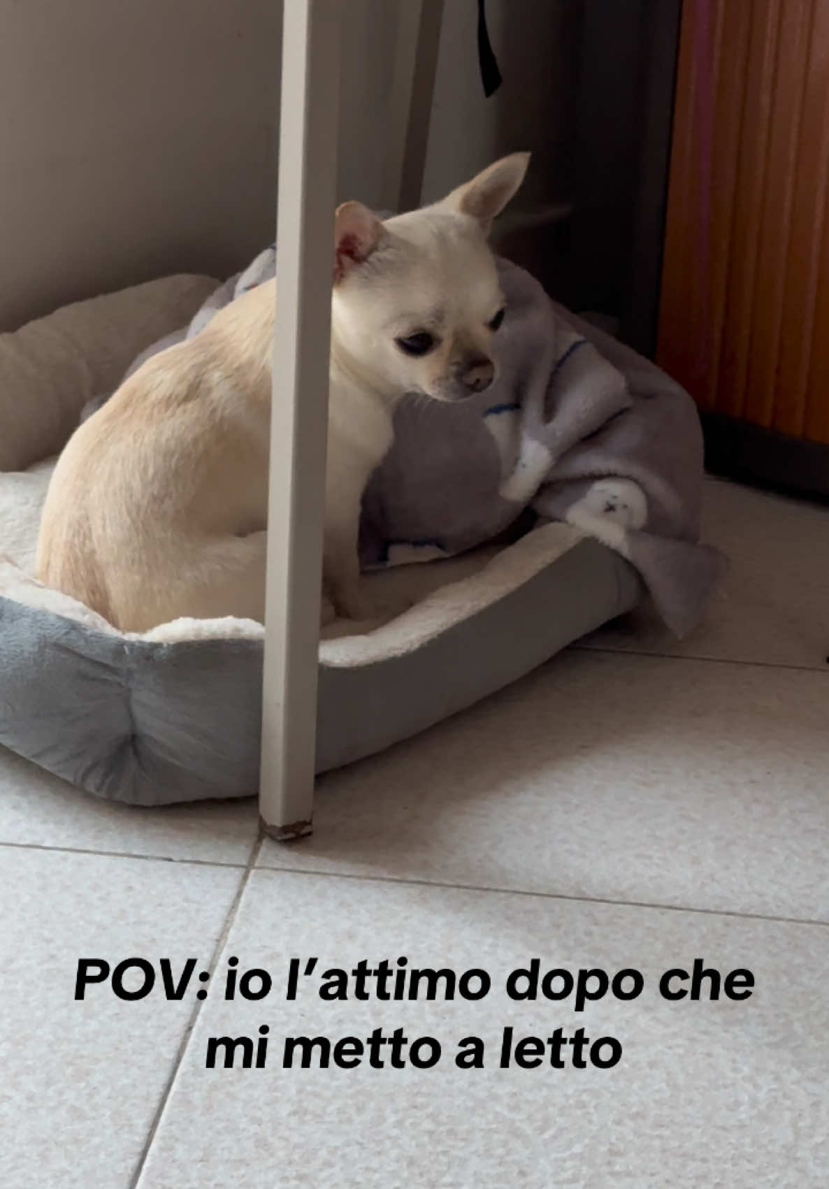 @Alessia Stefanelli
