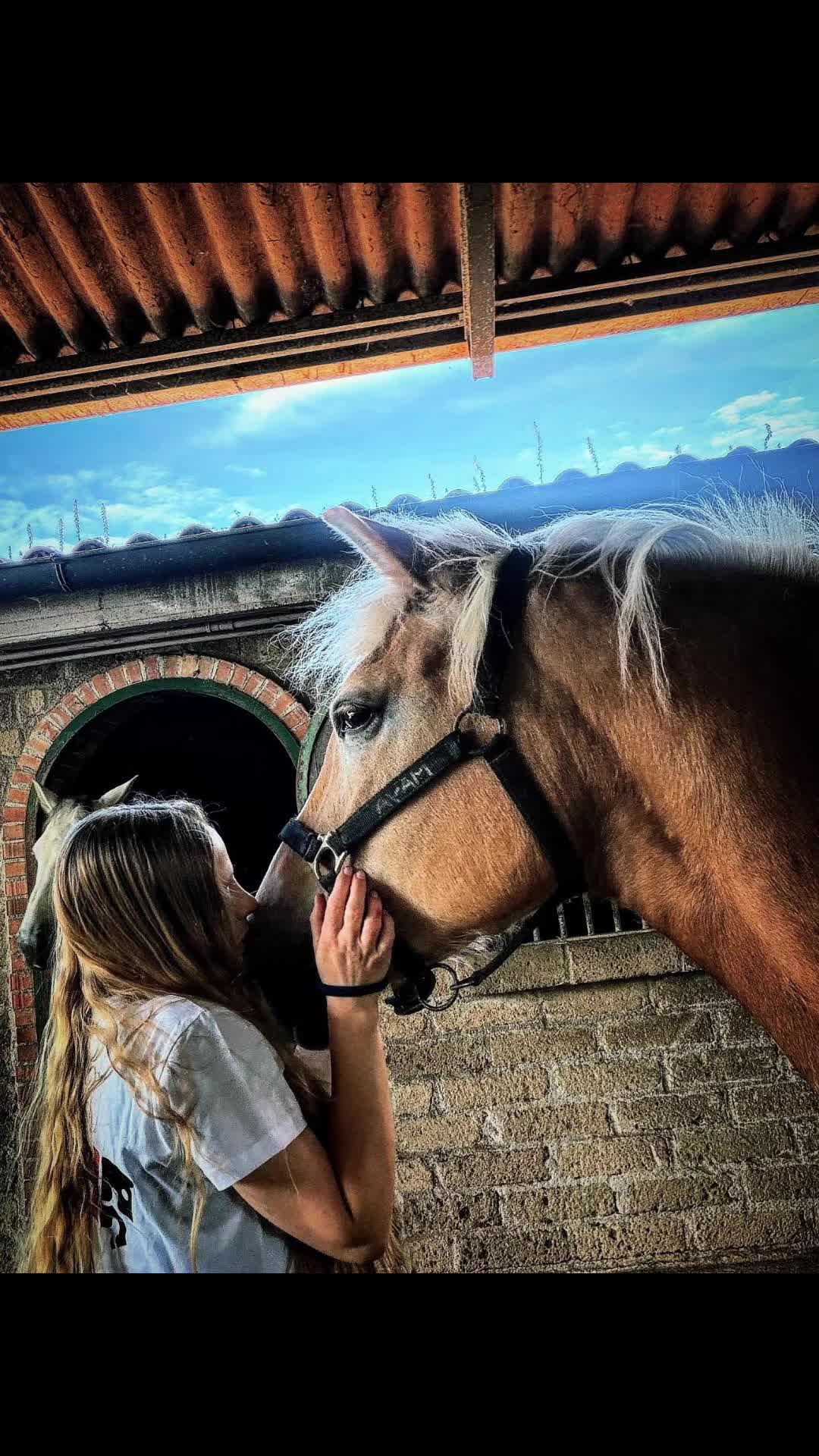 @FRYDAMA_Singer