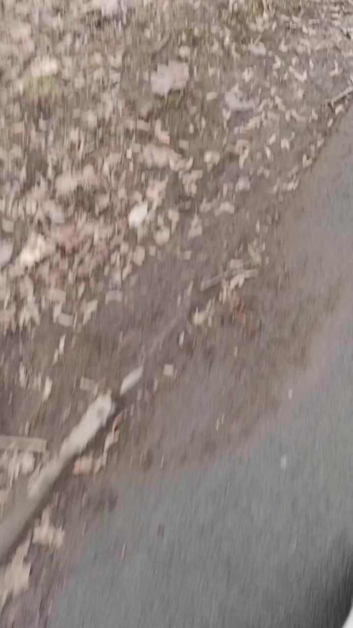 @💕💥ДеЙдАрОчКа💕💥