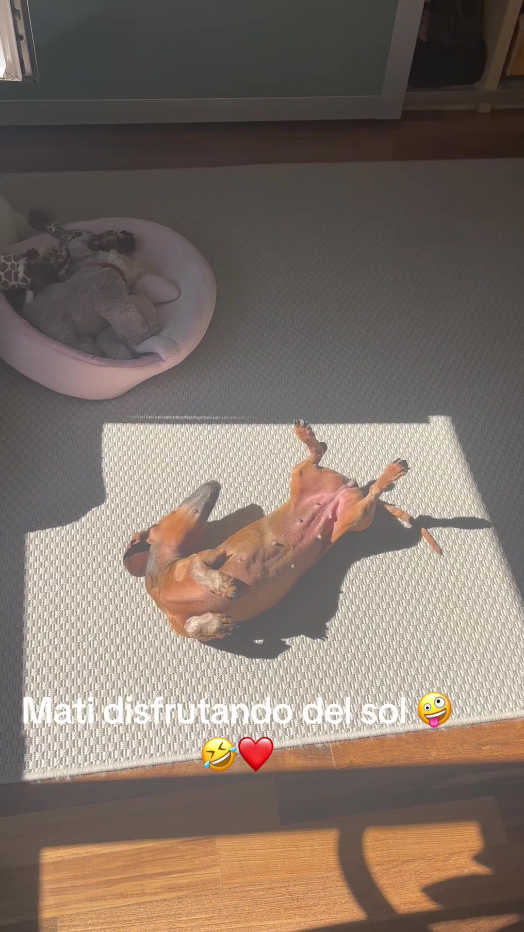 @patushiiiii