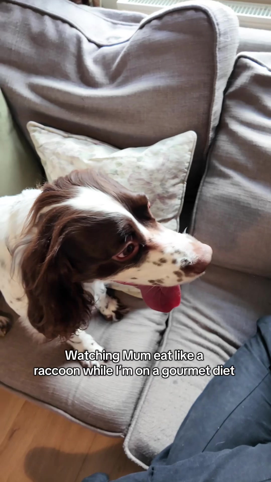 @Barking Heads Dog Food