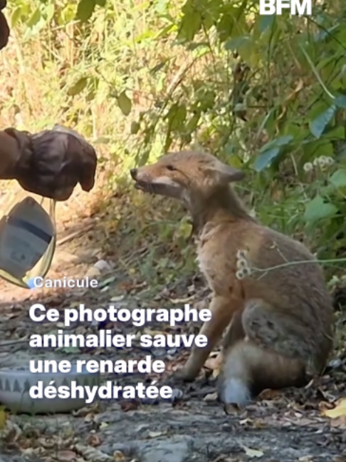 @BFMTV