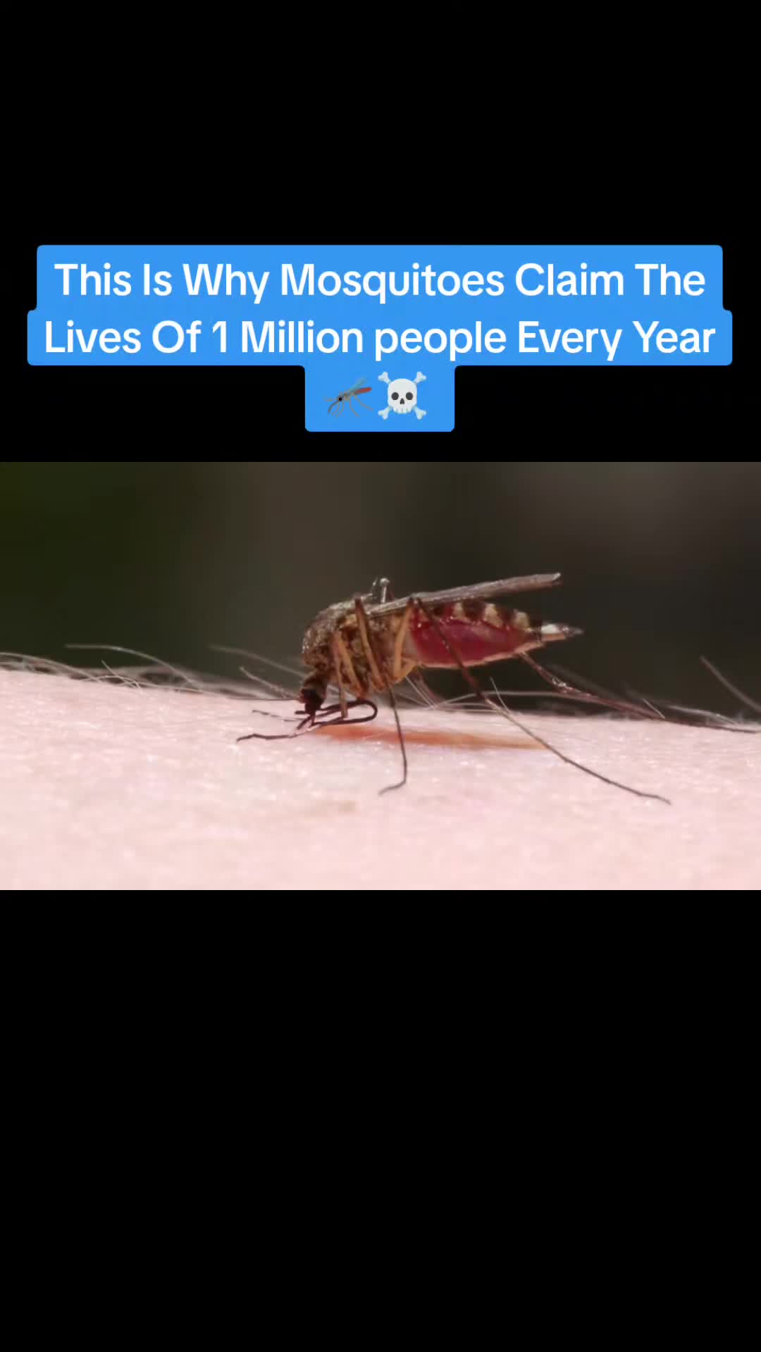 @🌏Facts Amazing🌍