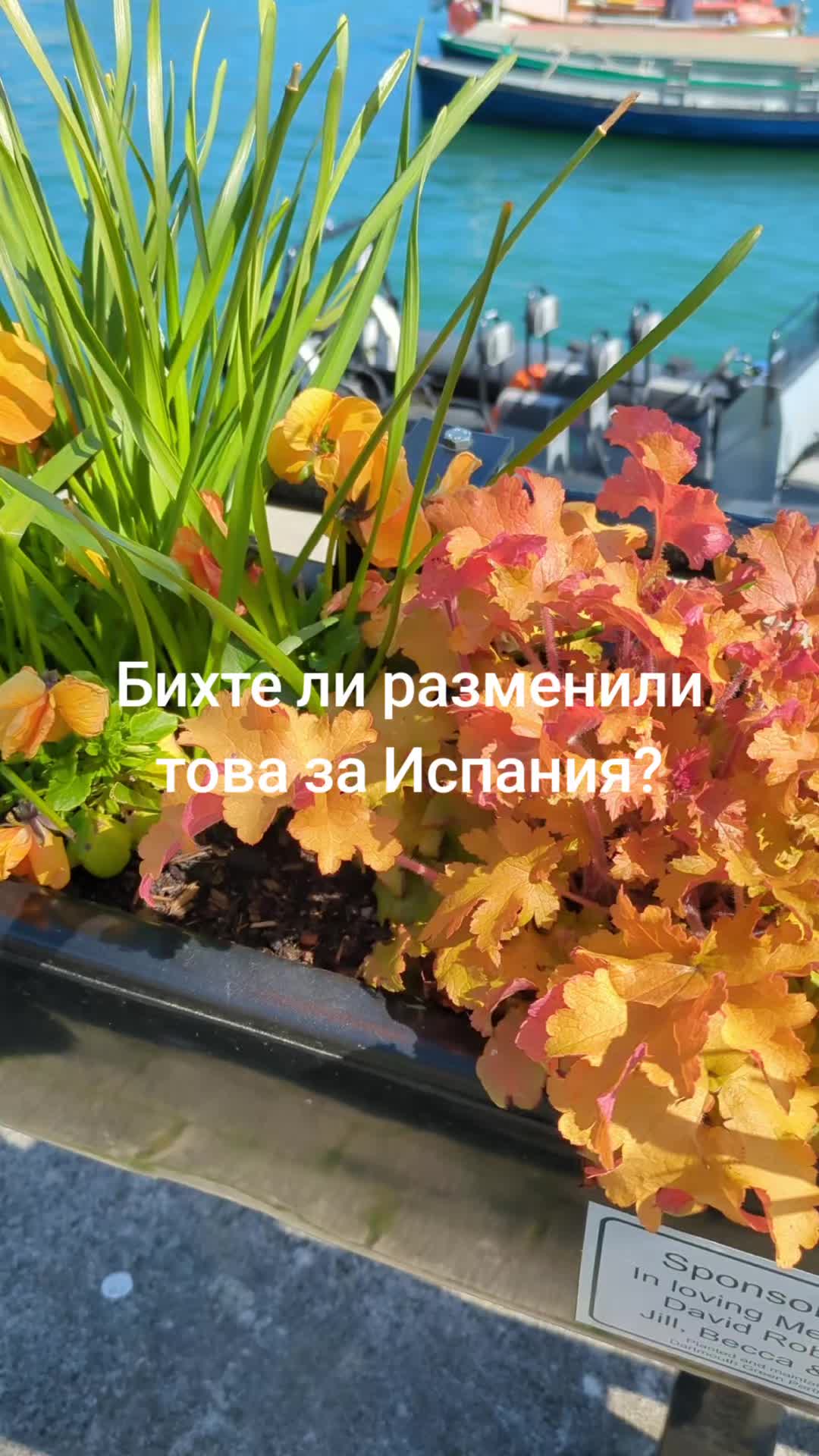 @JasiNova