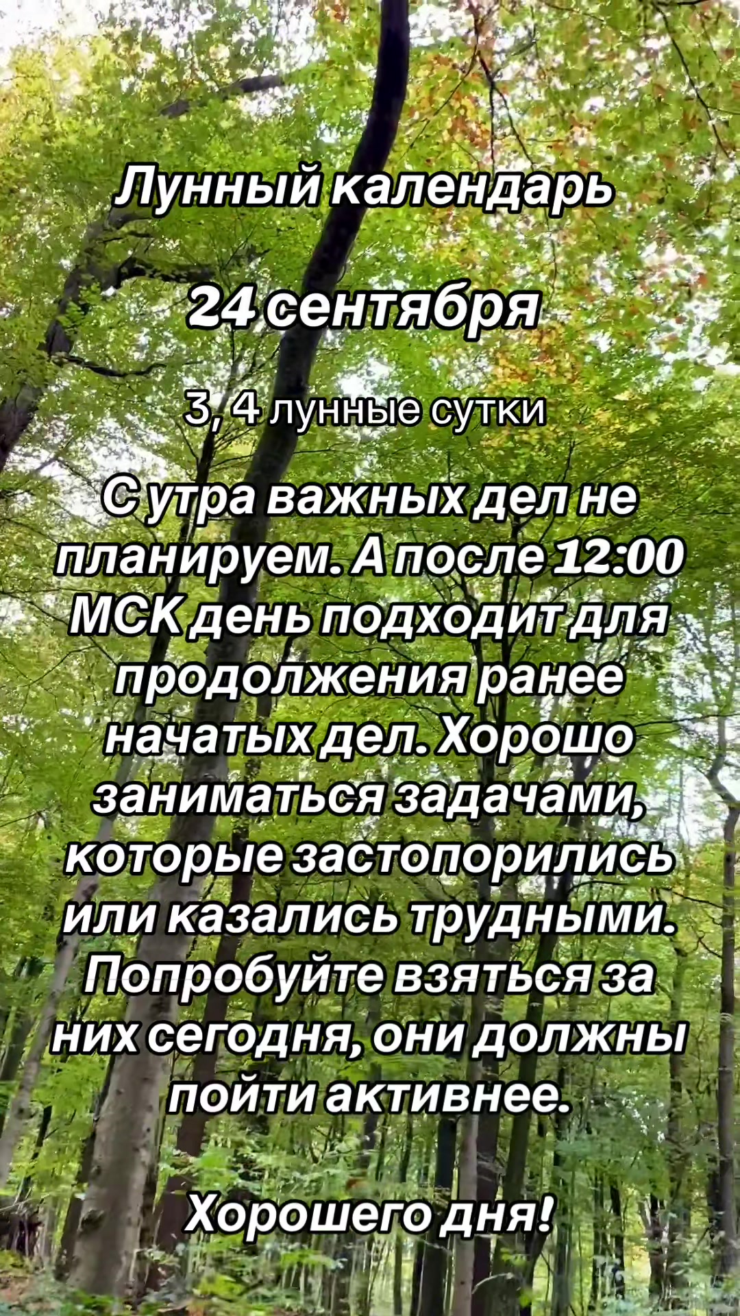 @Альвина✨Alwina