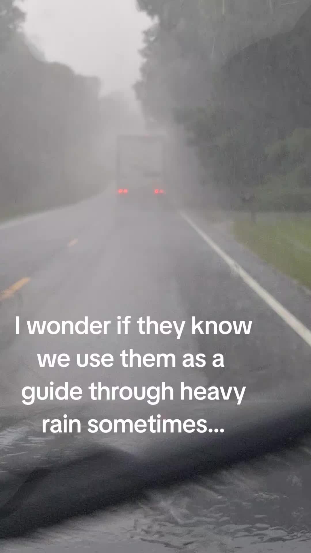 @🖤