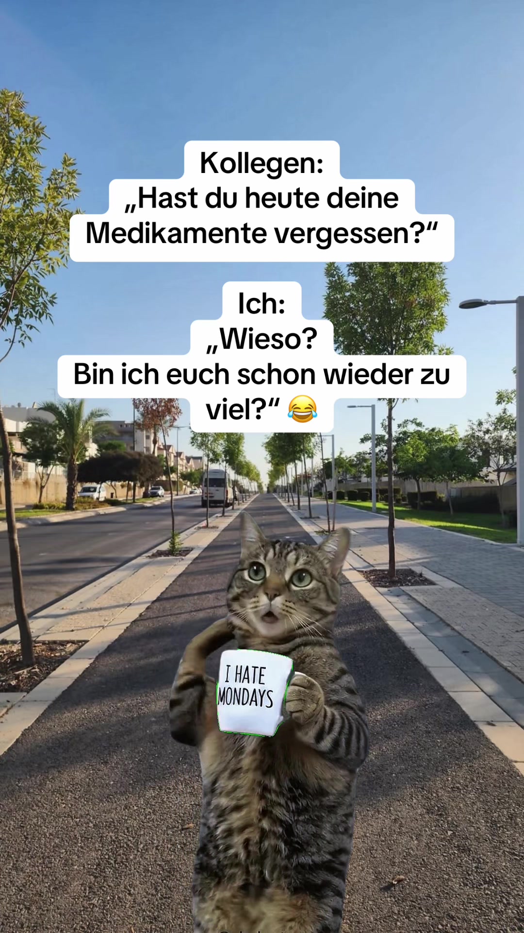 @mauskontert