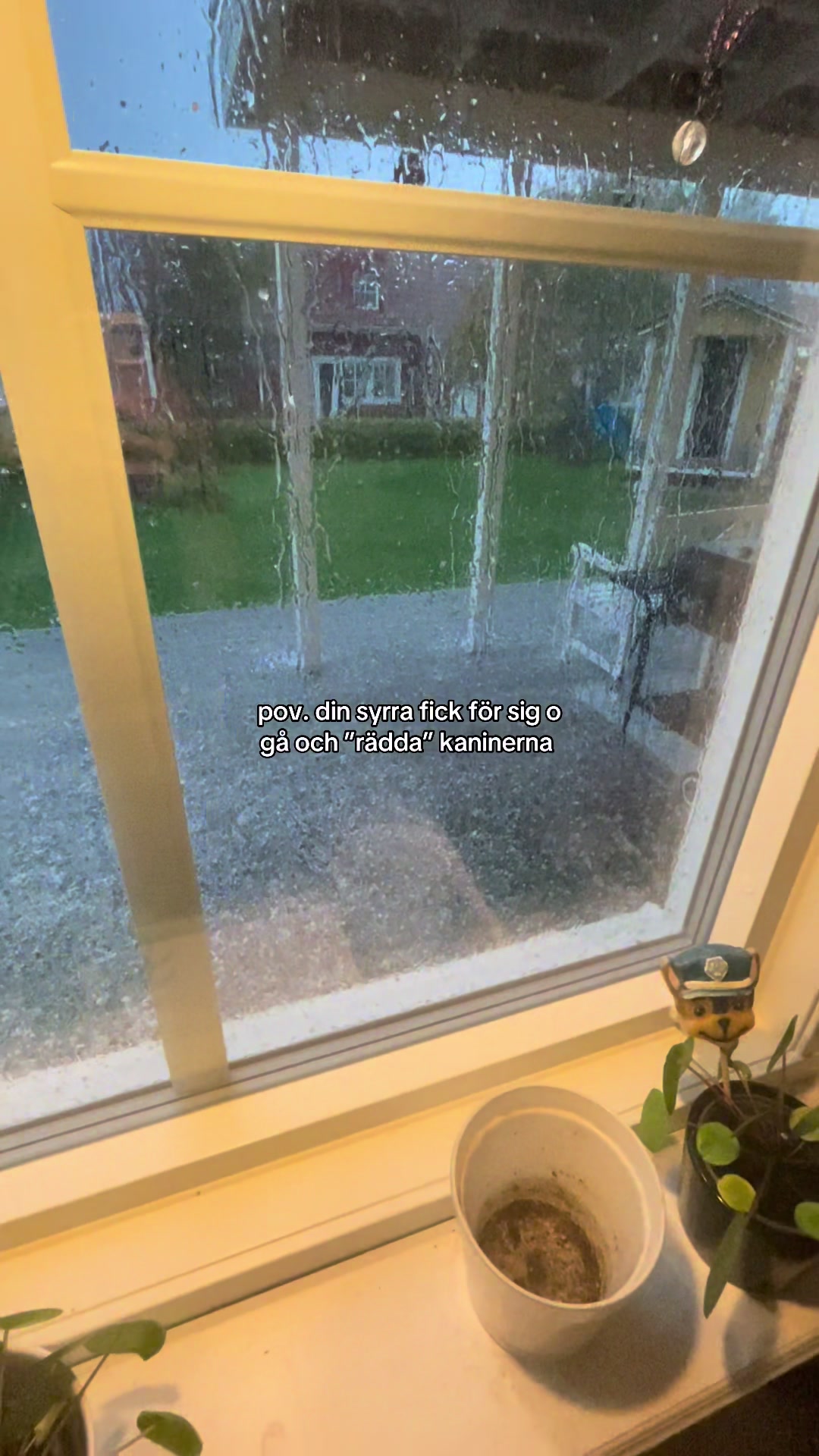 @𝓔𝓿𝓮𝓵𝓲𝓷𝓪