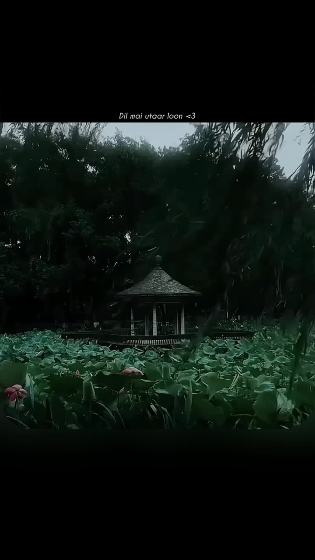 @B L A C K🖤