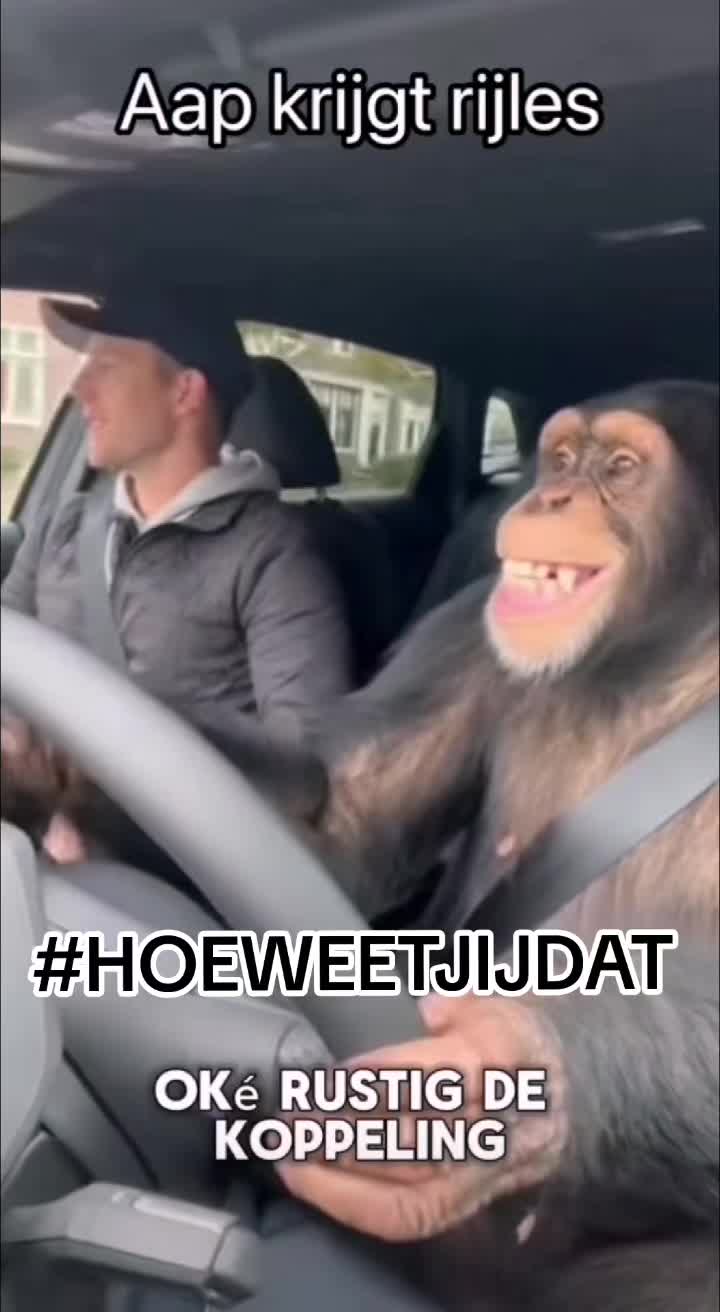 @HOEWEETJIJDAT