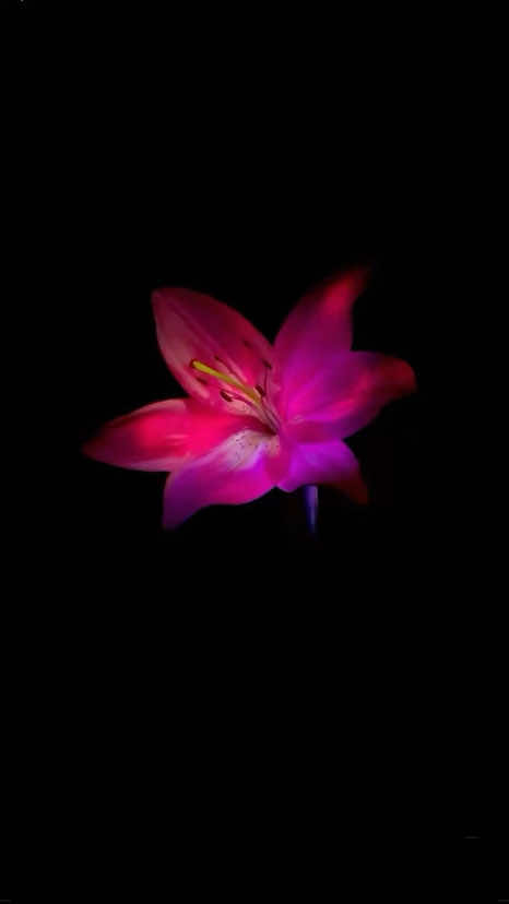 @ᴛᴩᴇᴋи дᴧя ᴧиᴨᴄинᴦоʙ