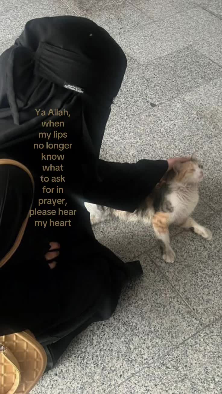 @y0urlocalniqabi