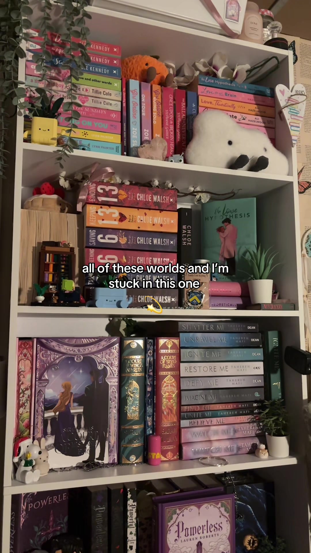 @📚amber ❀˖°ᥫ᭡