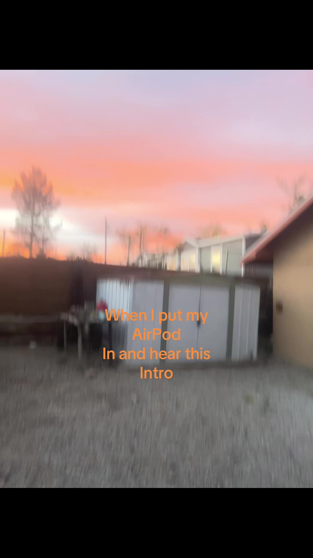 @ariana.67676