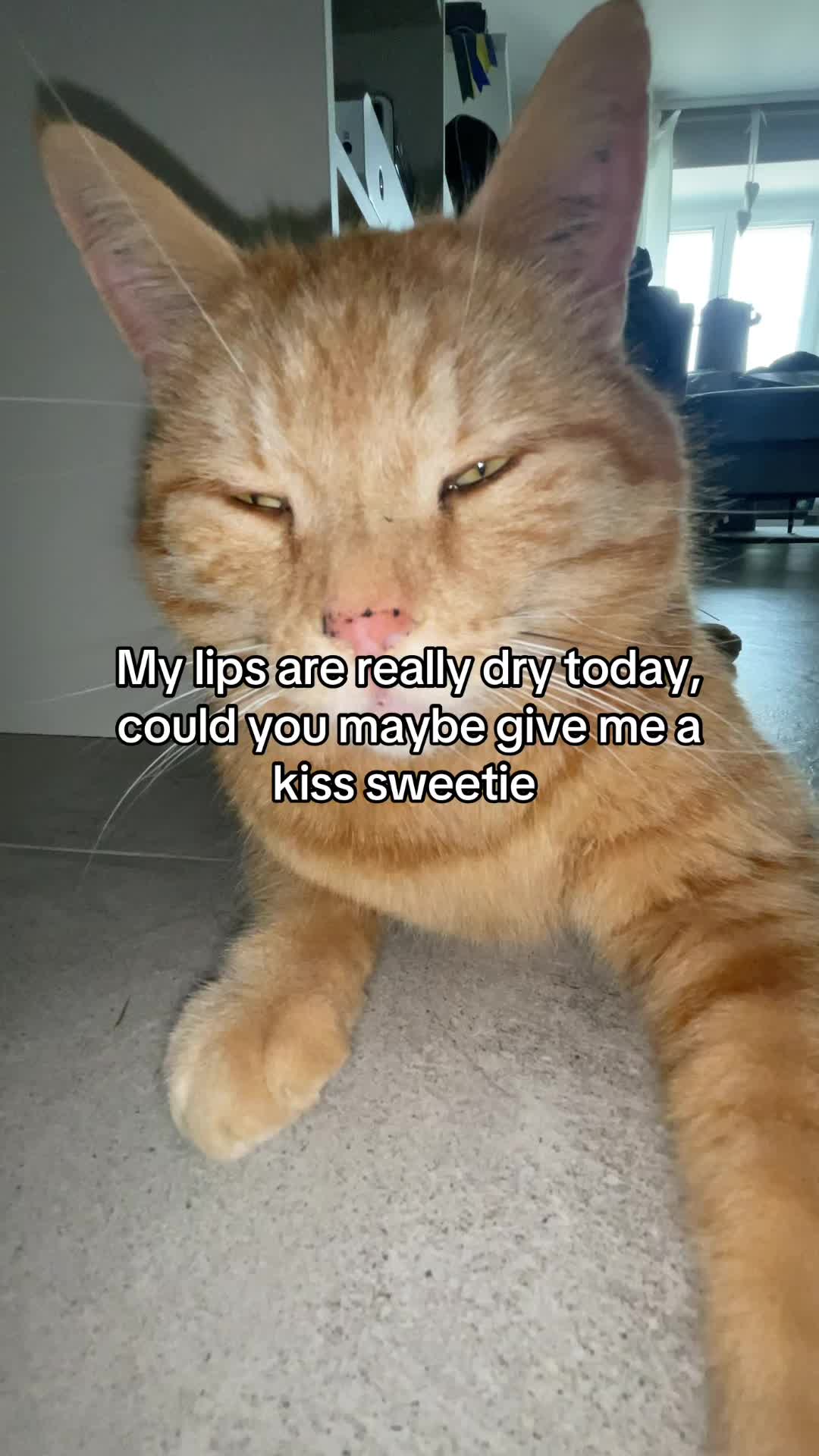 @Simba