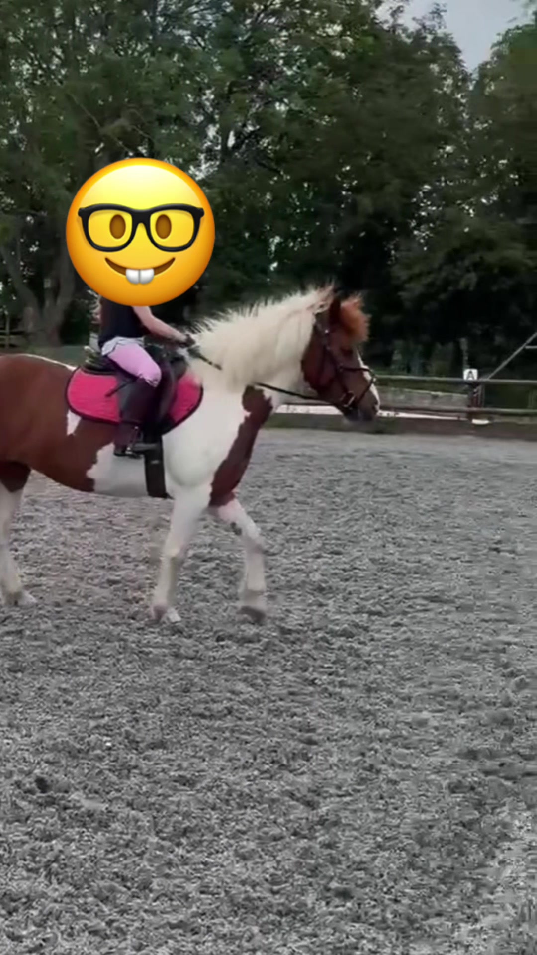 @LottiesHorseAdventures🦄🐴