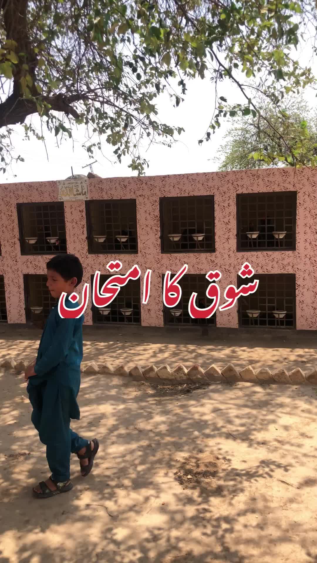 @Poultry Markaz