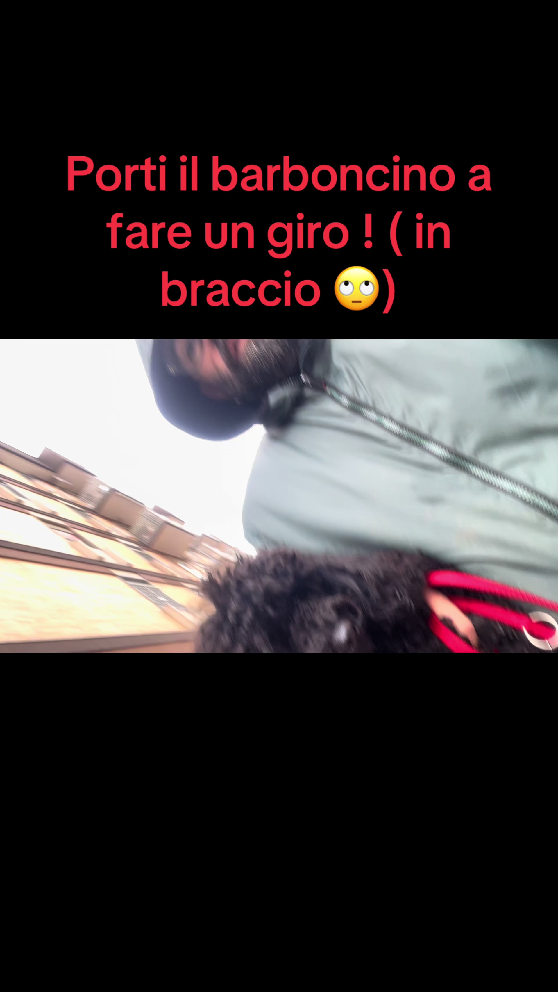 @alemangioo