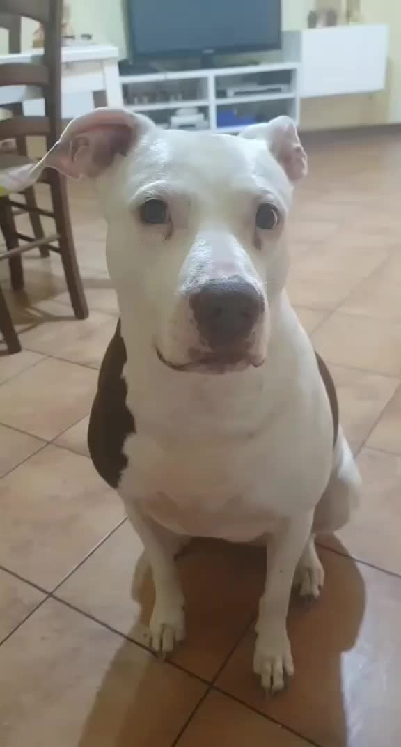 @🐶Yᑌᗰᗩ&ᑕO.🐾