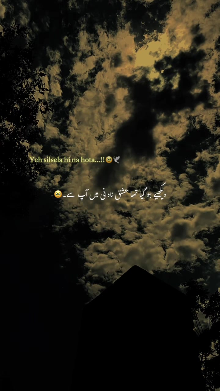 @🕊️