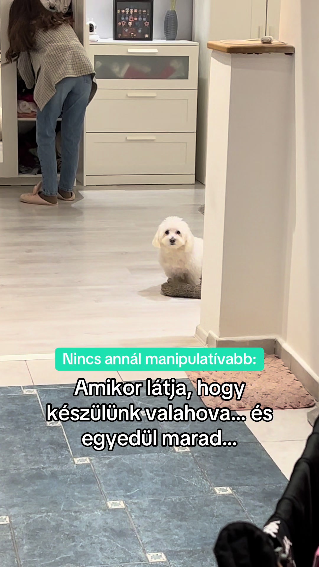 @HEKIII