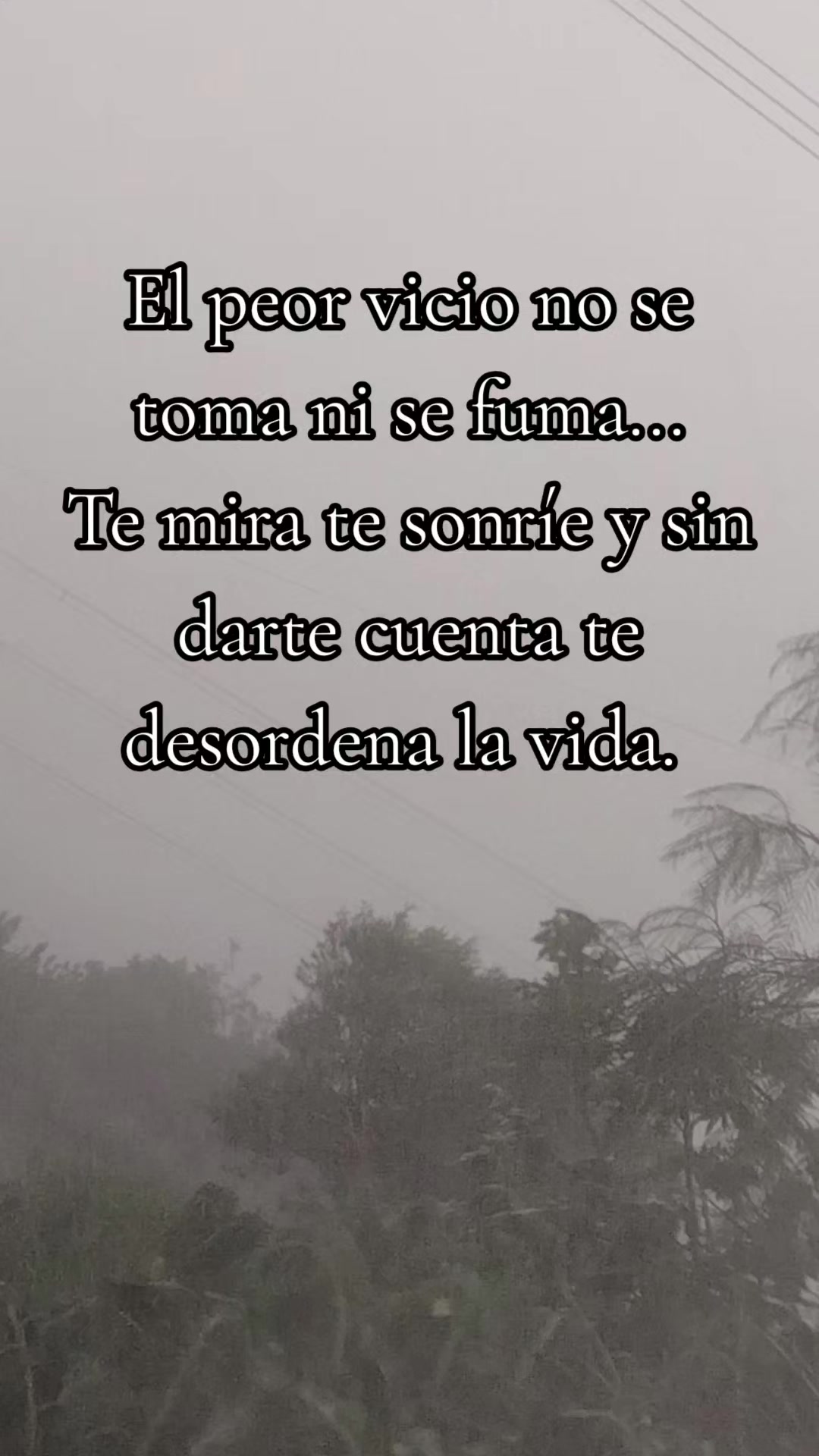 @Noramis 🙂🌹🥀