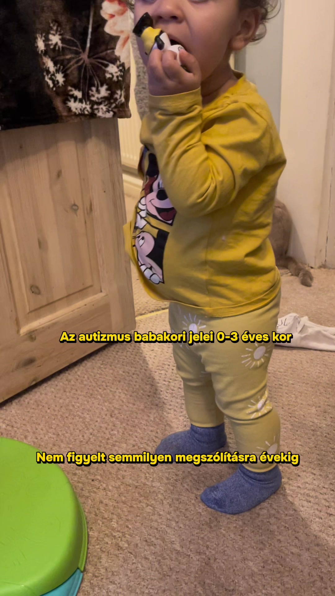 @Horny&aacute;k Brigitta &ldquo;Autimami&rdquo; 🌈