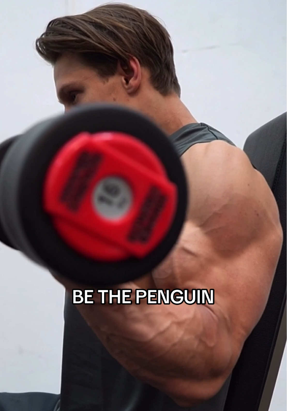 @stevekrisofficial