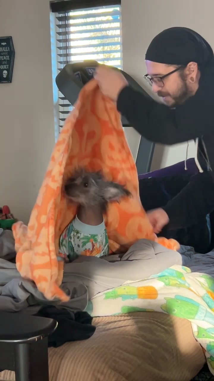 @Cat