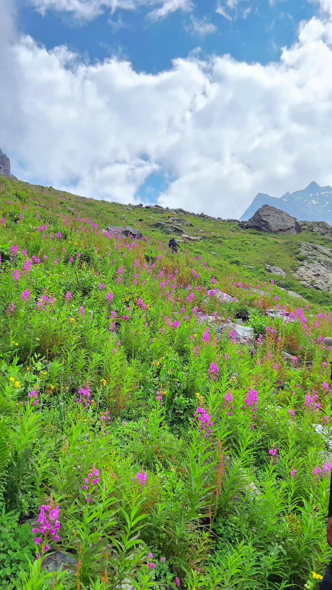 @mishaqoutdoor