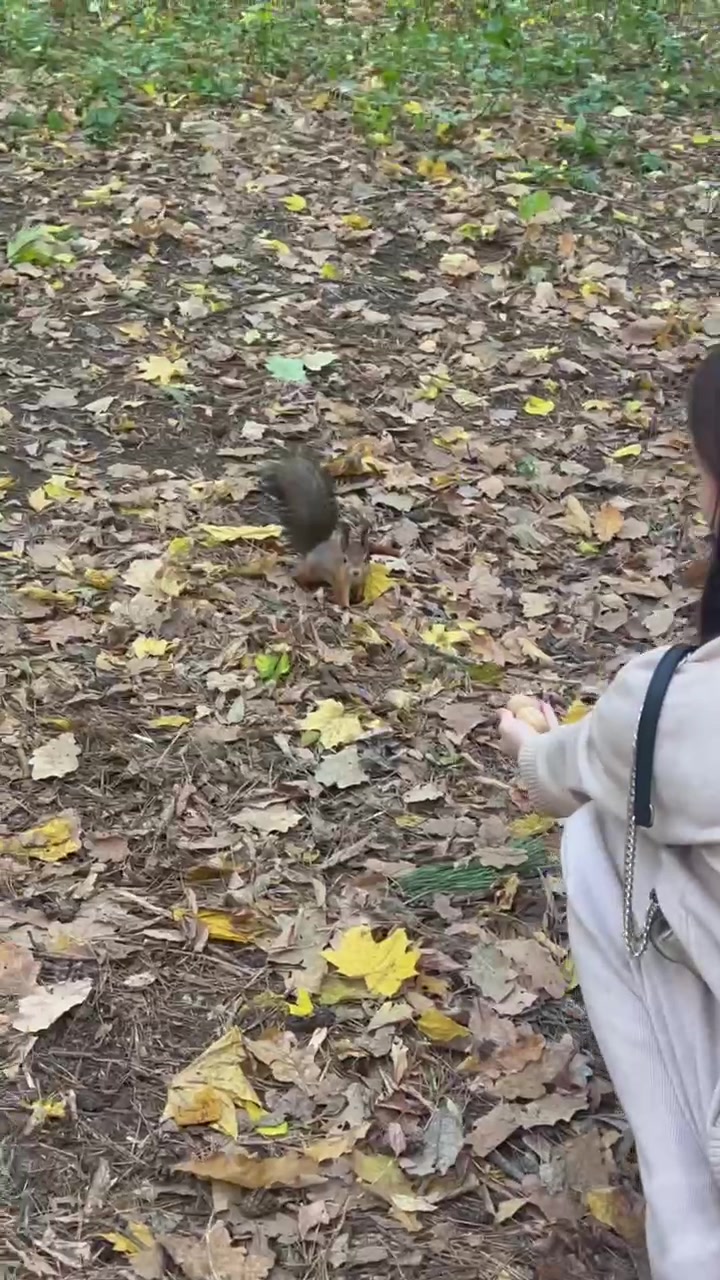 @Алька