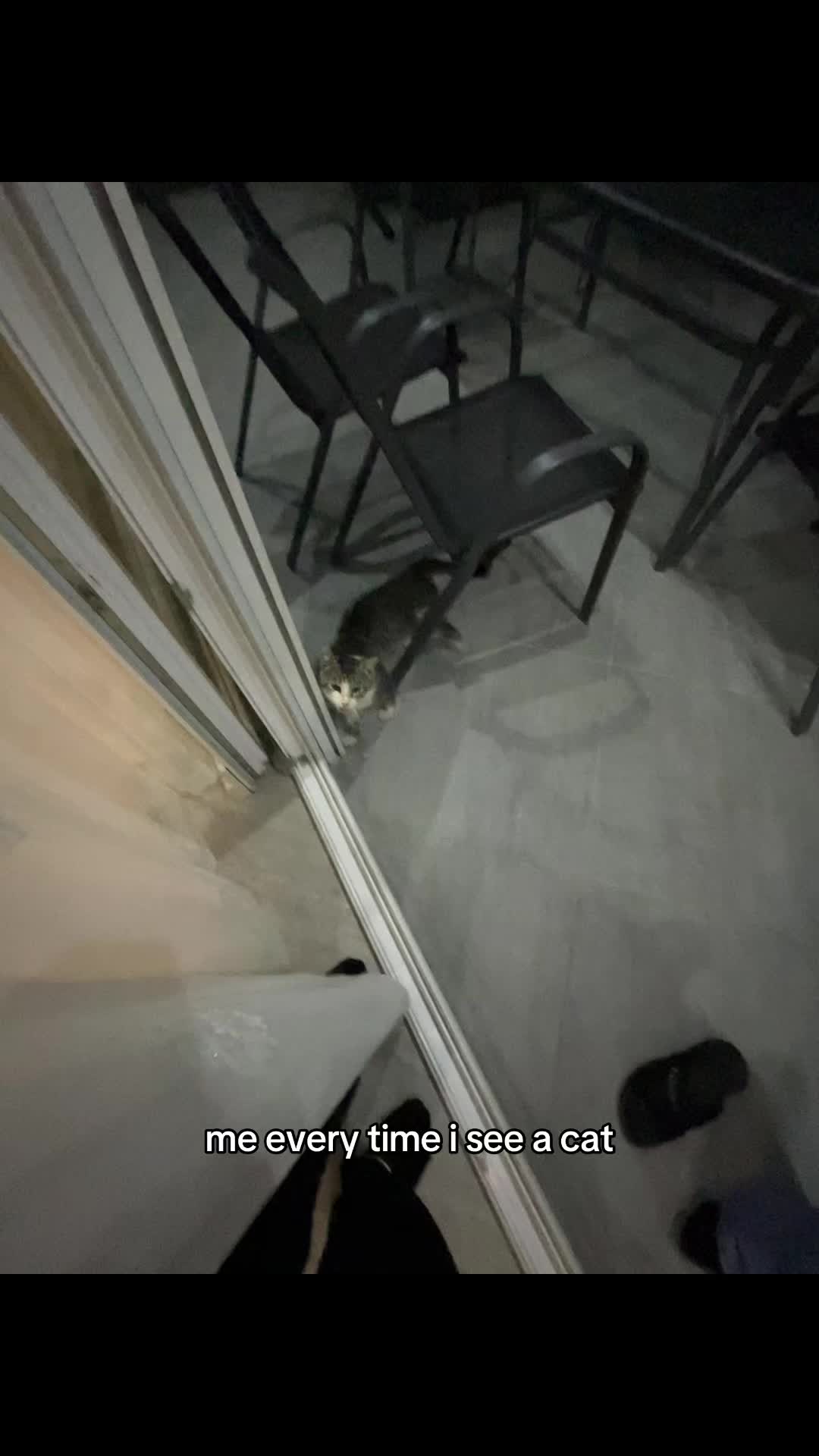@rora🕷️
