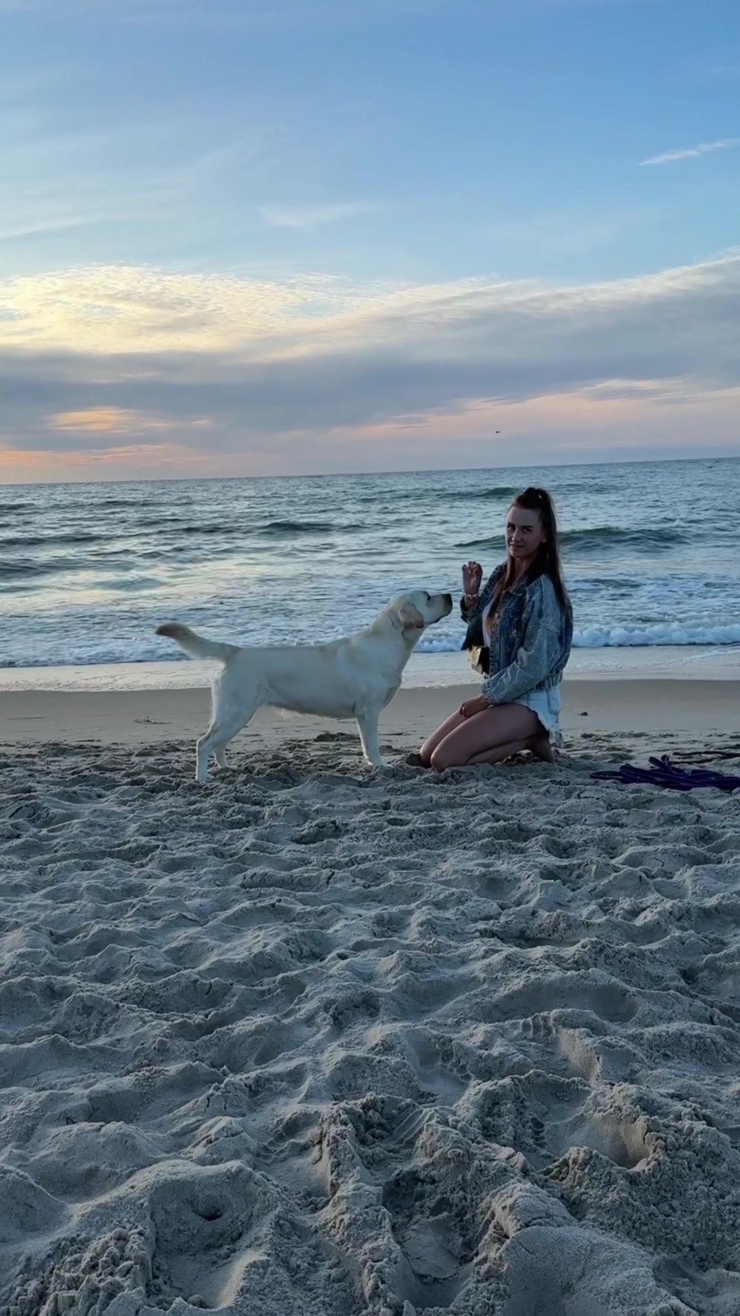 @Moonlife -Labrador Retriever