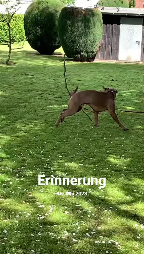@nala23